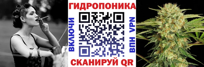 Конопля план  как найти   omg ссылка  Миасс 